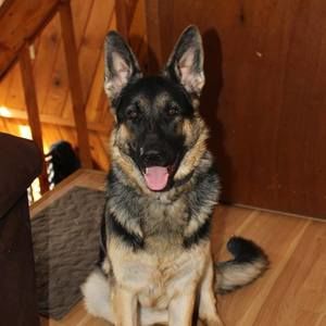 Meet your Posher, Mary